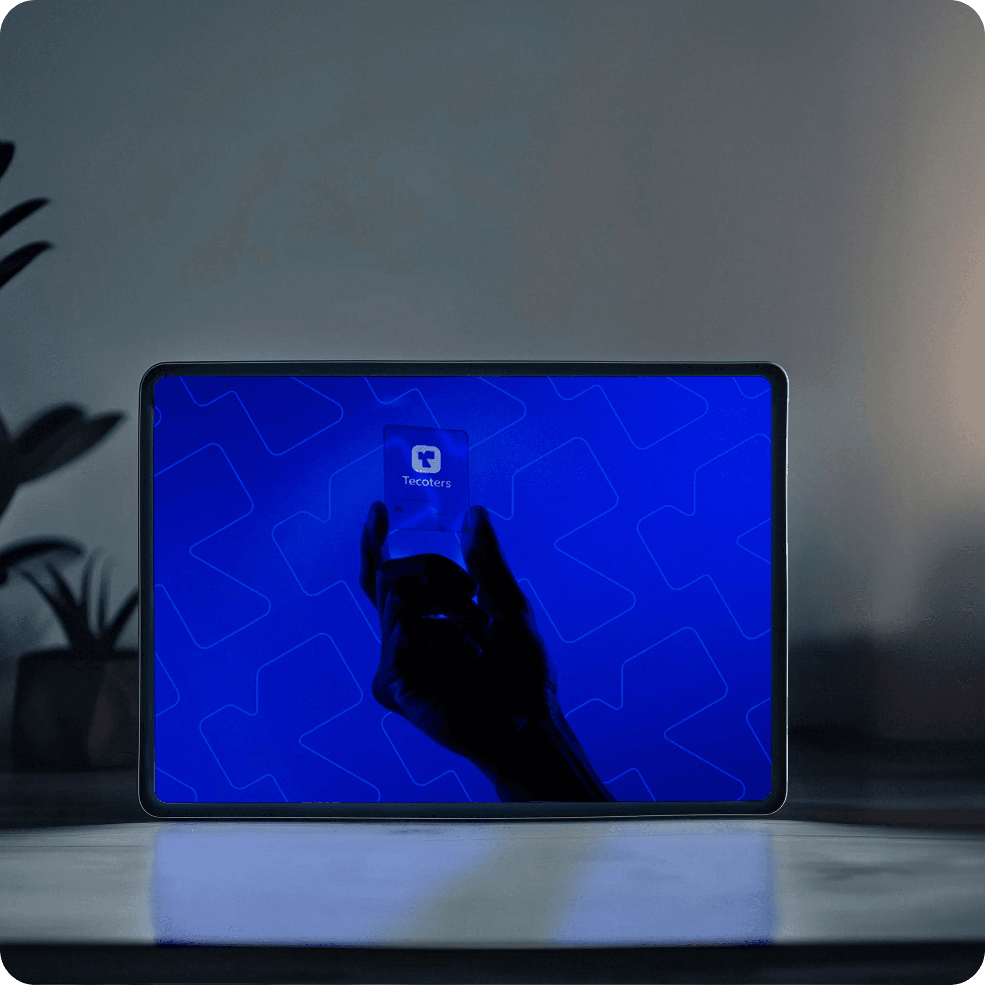 Brand Design & Guideline